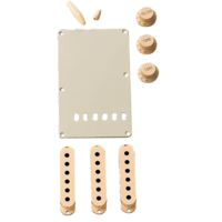 Fender Accessory Kit, Stratocaster®, Aged White
