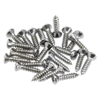 Fender Pickguard/Control Plate Mounting Screws (24) (Chrome)