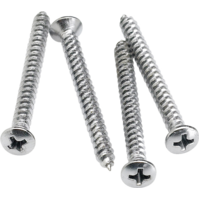 Fender Neck Mounting Screws (4) (Chrome)
