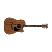 Ibanez AW54CE OPN Artwood Dreadnought