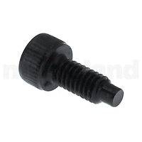 Ibanez Tremolo Screw - Black - 2 Pieces