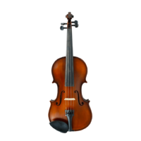 Gliga III 4/4 Violin Outfit w/ Tonica Strings