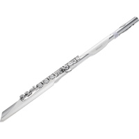 Roland Aerophone BRISA Digital Wind Instrument