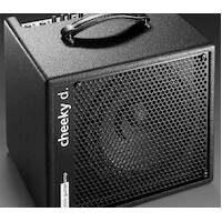 AER "Cheeky D" 200W Electric Guitar Amp - 1 x 10"