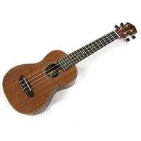 aNueNue Mini Concert Mahogany Ukulele w/ Bag
