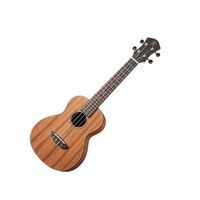 aNueNue Makani II Concert Ukulele Matte Open Pore w/ Bag