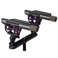 Aston Starlight UK made Small diaphragm condenser microphone stereo matched pair with laser