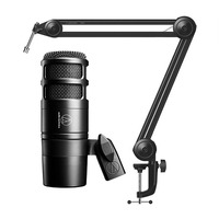 Audio-Technica AT2040 Microphone Boom Arm Bundle