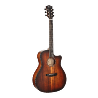 Cort Core-GA Blackwood Acoustic Guitar - Open Pore Light Burst