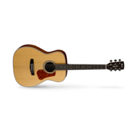 Cort C11102 L100C Concert Satin Acoustic Guitar