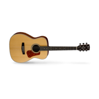 Cort C11102 L100C Concert Satin With Bag
