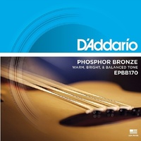 D'Addario EPBB170 Phosphor Bronze Acoustic Bass Strings - Light Long Scale 45-100