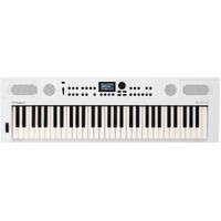 Roland GO:KEYS 5 Portable Keyboard White