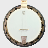 Goodtime Two Limited Edition 5-String Banjo w/ Bronze Hardware