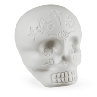 LP Percussion Sugar Skull Shaker Glow In The Dark