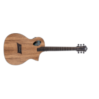 Michael Kelly MKFESZESFX Forte Porte Exotic Acoustic Electric Guitar - Zebra Top