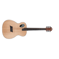 Michael Kelly Prelude Port OM Acoustic
