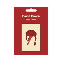 David Bowie Fridge Magnet Aladdin Sane