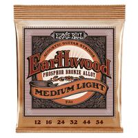 Ernie Ball 2146 12-54 Earthwood Phosphor Bronze Medium-Light Acoustic Guitar Strings