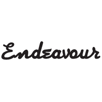 Endeavour Guitars