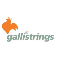 Galli